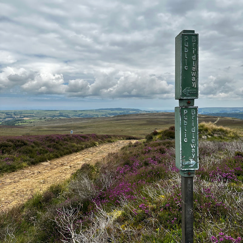 Finding inspiration in Glaisdale