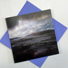 NEW! Wetlands box set