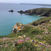 Advanced oils & cold wax - 3 day workshop in Coverack, Cornwall: 25-27 April 2023